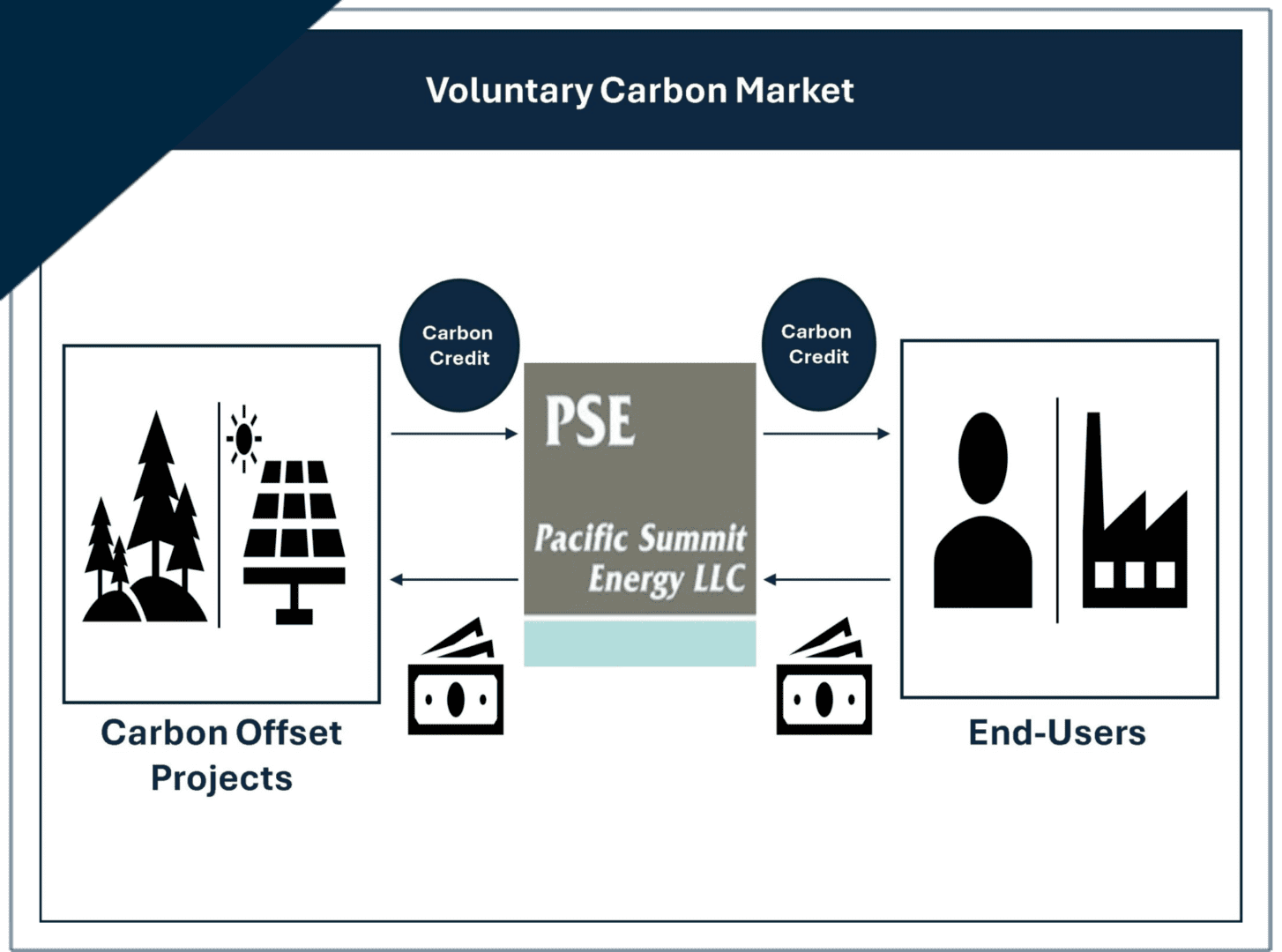 vcfVoluntary-Carbon-Market-PSE-2-2048x1521